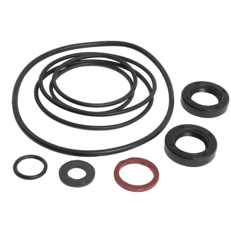 1810509M91 Power Steering Pump Seal Kit Fits Massey Ferguson Models 165 168