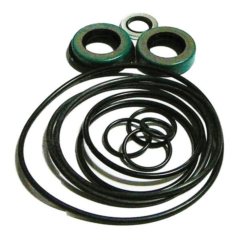AP S Pump Seal Kit Fits Ford New Holland Tractor 2000 Others - DHPN3A674A