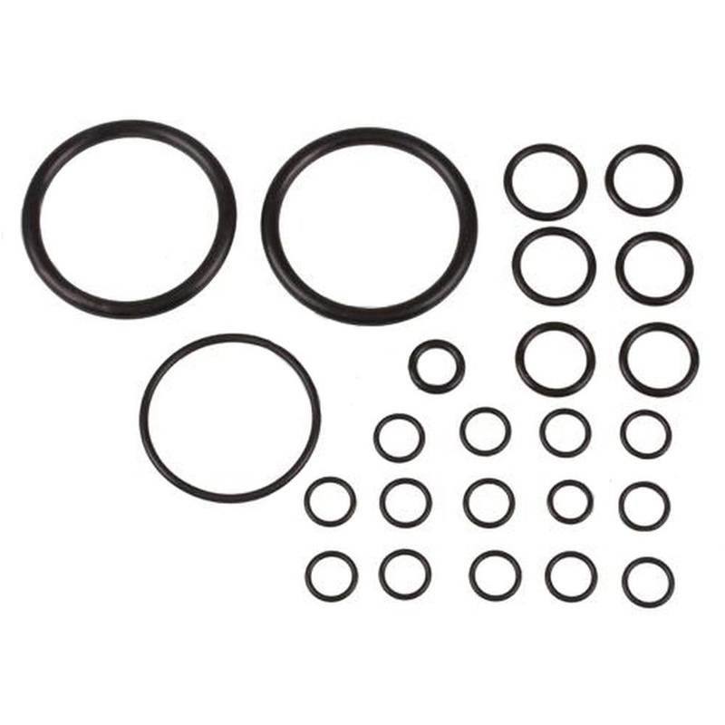894906M91 Hydraulic Pump O-Ring Kit Fits Massey Ferguson MF35 50 65 & Ind 202 20