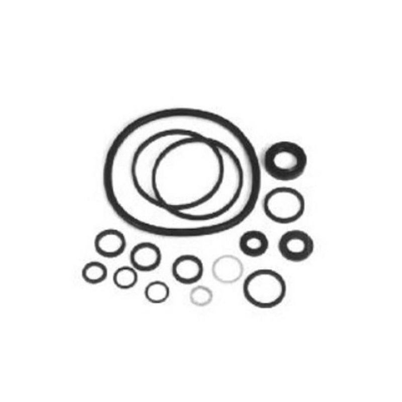 P S Pump Repair Kit Fits Massey Ferguson 270; 282; 283; 290; 298;