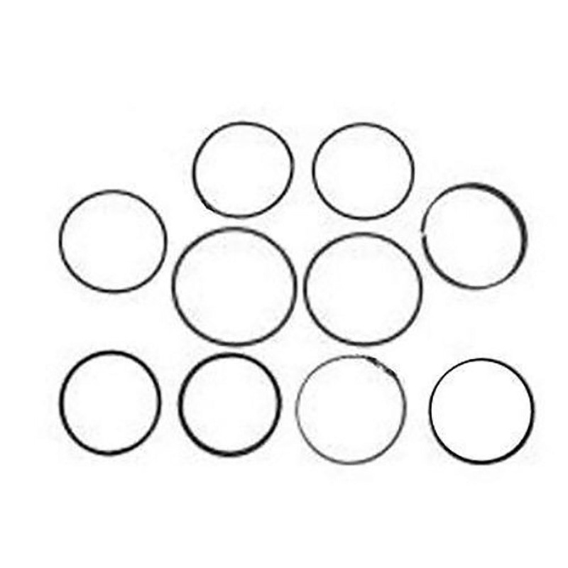 251339F 1101-1218 Cylinder Seal Kit Fits Ford/New Holland 340 445 450 540
