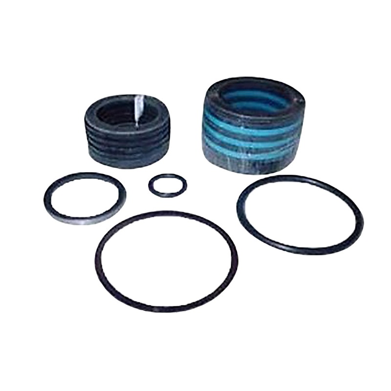 Hydraulic Cylinder Seal Kit Fits Ford Tractor 251164 309957
