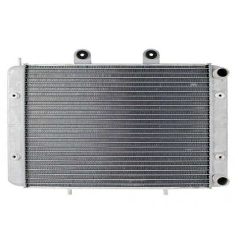Radiator fits Polaris Ranger 1240319 1240444